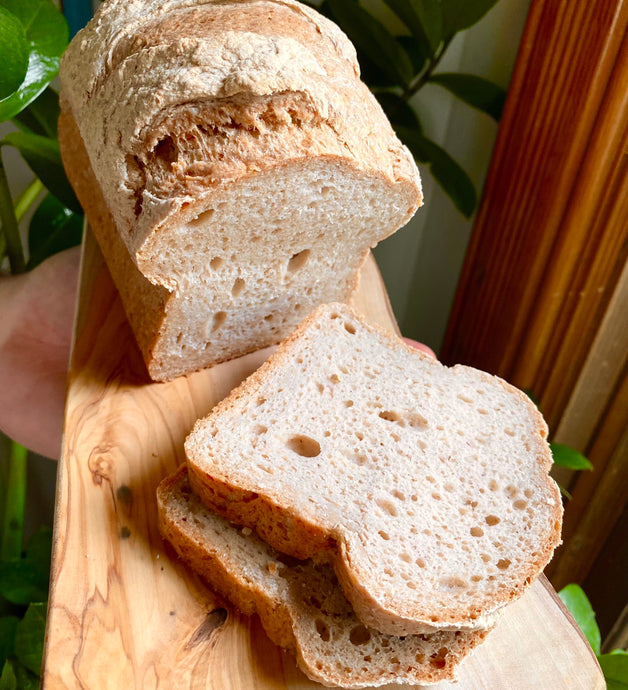 Sourdough and Gut Health: The Benefits of Fermented Bread